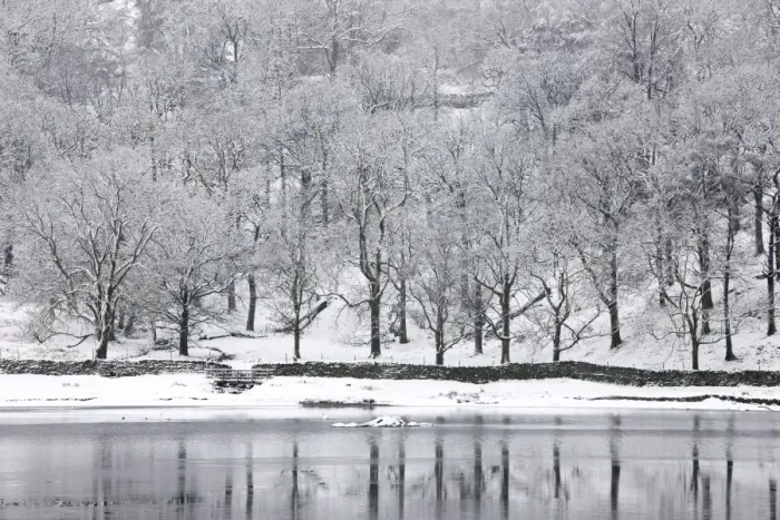 Framed Print : Snow-covered trees on the shore of Rydal Water, near Ambleside, Lake District National Park Framed Print : Snow-covered trees on the shore of Rydal Water, near Ambleside, Lake District National Park