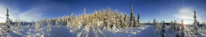 Framed Print : Snow covered trees and track, Kuusamo, Lapland, Finland, Europe Framed Print : Snow covered trees and track, Kuusamo, Lapland, Finland, Europe