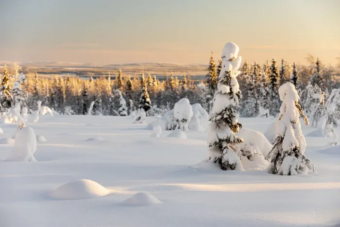 Framed Print : Snow covered winter landscape, Kuusamo, Finland, Europe Framed Print : Snow covered winter landscape, Kuusamo, Finland, Europe