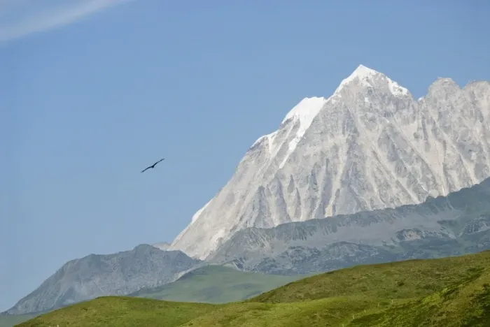 Framed Print : Snow mountain and eagle, Tagong Grasslands, Sichuan, China, Asia Framed Print : Snow mountain and eagle, Tagong Grasslands, Sichuan, China, Asia