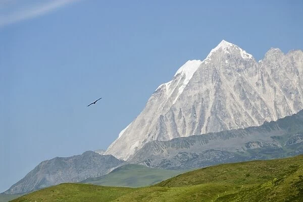 Snow mountain and eagle, Tagong Grasslands, Sichuan, China, Asia