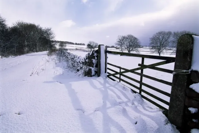 Framed Print : Snow on Tissington Trail, Hartington, Derbyshire, England, United Kingdom, Europe Framed Print : Snow on Tissington Trail, Hartington, Derbyshire, England, United Kingdom, Europe