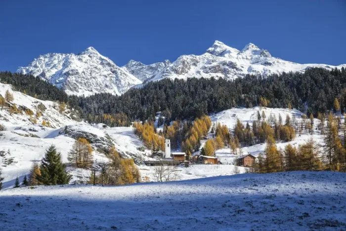 Framed Print : Snowy landscape and colorful trees in the small village of Sur, Val Sursette, Canton of Graubunden Framed Print : Snowy landscape and colorful trees in the small village of Sur, Val Sursette, Canton of Graubunden