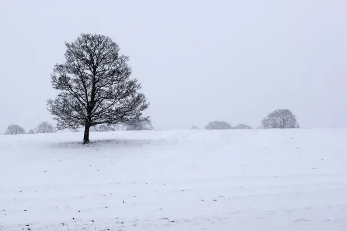 Framed Print : Snowy landscape with trees, Broadwell, Gloucestershire, Cotswolds, England, United Kingdom, Europe Framed Print : Snowy landscape with trees, Broadwell, Gloucestershire, Cotswolds, England, United Kingdom, Europe