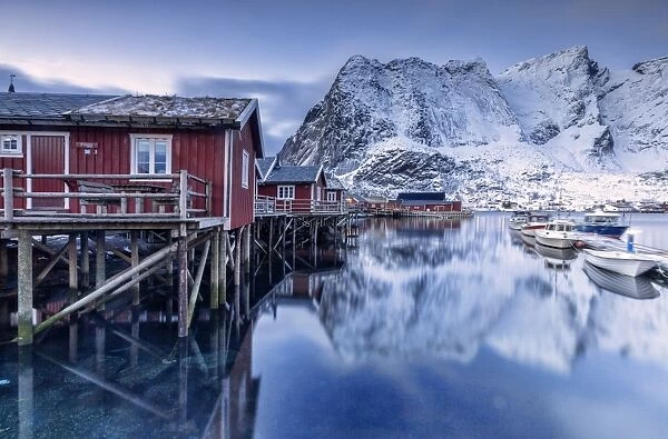 Snowy mountains and the typical red houses reflected in the cold sea at dusk, Reine