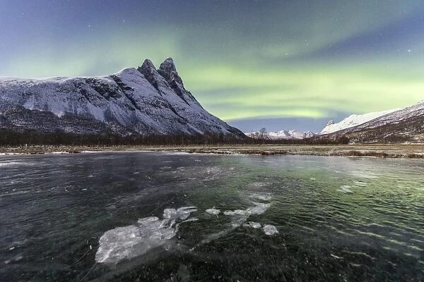 The snowy peak of Otertinden and the Northern Lights in the polar night, Oteren, Lyngen Alps