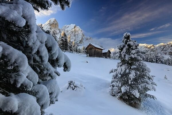 The snowy peak of Sass De Putia frames the wooden hut and woods at dawn, Passo Delle Erbe