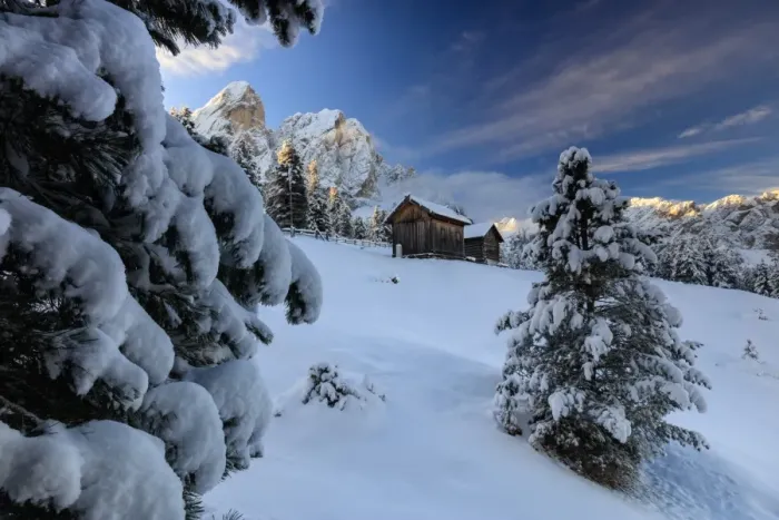 Framed Print : The snowy peak of Sass De Putia frames the wooden hut and woods at dawn, Passo Delle Erbe Framed Print : The snowy peak of Sass De Putia frames the wooden hut and woods at dawn, Passo Delle Erbe