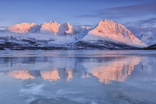 Snowy peaks are reflected in the frozen Lake Jaegervatnet at sunset, Stortind, Lyngen Alps