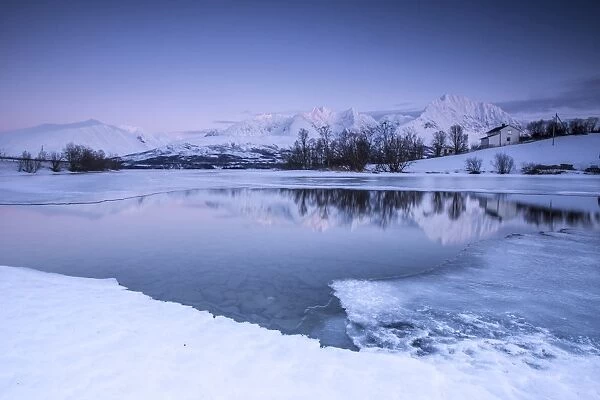 Snowy peaks are reflected in the frozen Lake Jaegervatnet at dusk, Stortind, Lyngen Alps