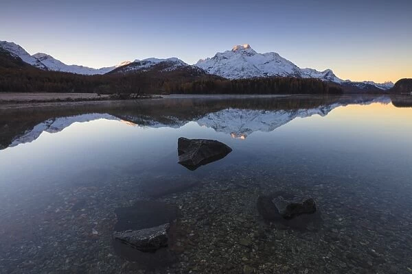 The snowy peaks are reflected in Lake Champfer at sunrise, St. Moritz, Canton of Graubunden