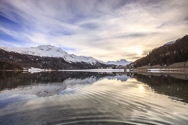 Snowy peaks and woods are reflected in Lake Silvaplana at sunset, Maloja, Canton of Graubunden