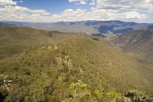 Snowy River valley, Snowy River National Park, Victoria, Australia, Pacific