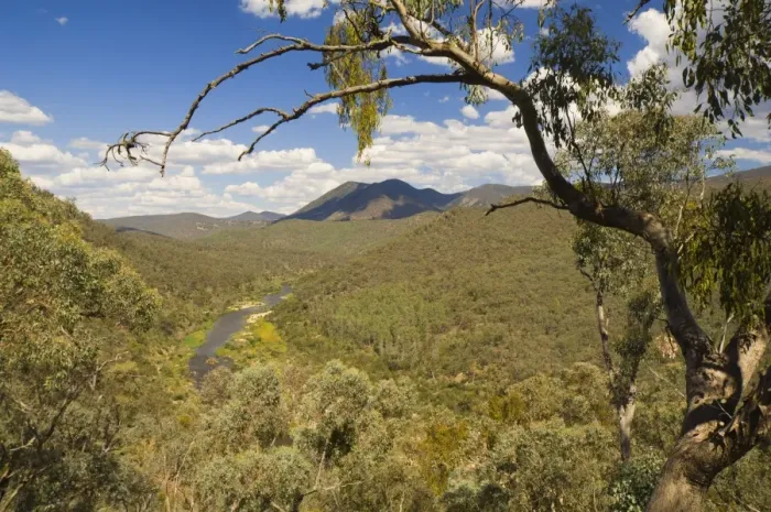 Framed Print : Snowy River valley, Snowy River National Park, Victoria, Australia, Pacific Framed Print : Snowy River valley, Snowy River National Park, Victoria, Australia, Pacific