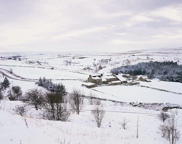 Snowy scene near Allenheads, Northumberland, England, United Kingdom, Europe