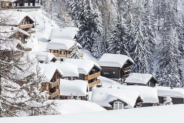 The snowy woods frame the typical mountain huts, Bettmeralp, district of Raron, canton of Valais