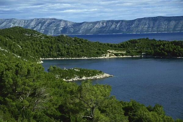 Sobra, Mljet Island, Croatia, Adriatic, Europe