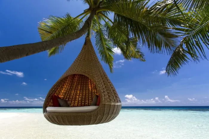 Framed Print : Sofa hanging on a tree on the beach, Maldives, Indian Ocean, Asia Framed Print : Sofa hanging on a tree on the beach, Maldives, Indian Ocean, Asia