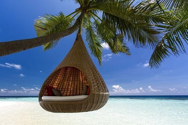 Sofa hanging on a tree on the beach, Maldives, Indian Ocean, Asia