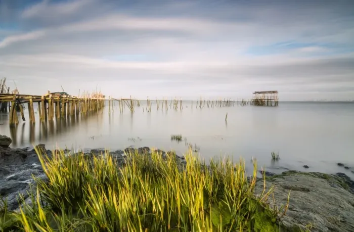 Framed Print : Soft light of dawn on the Palafito Pier, Carrasqueira Natural Reserve of Sado River Framed Print : Soft light of dawn on the Palafito Pier, Carrasqueira Natural Reserve of Sado River