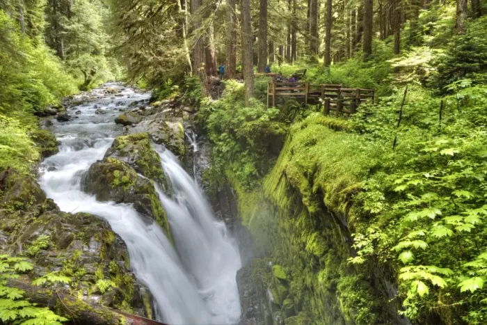 Framed Print : Sol Duc Falls, Olympic National Park, UNESCO World Heritage Site, Washington, United Framed Print : Sol Duc Falls, Olympic National Park, UNESCO World Heritage Site, Washington, United