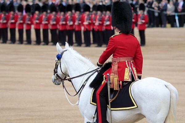 Soldiers at Trooping the Colour 2012, The Queens Official Birthday Parade, Horse Guards, Whitehall, London, England, United Kingdom, Europe