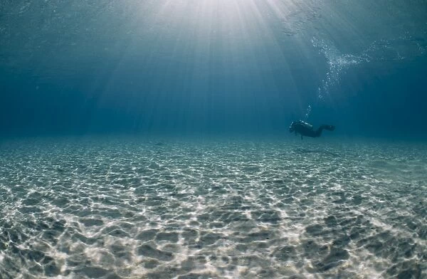 Solitary scuba diver in shallow sandy bay, with sun beams, Naama Bay, Sharm El Sheikh, Red Sea, Egypt, North Africa, Africa