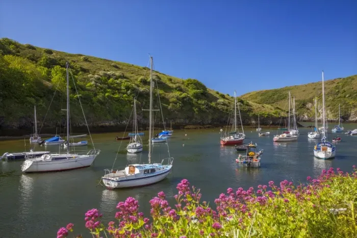 Framed Print : Solva Harbour, Pembrokeshire, Wales, United Kingdom, Europe Framed Print : Solva Harbour, Pembrokeshire, Wales, United Kingdom, Europe
