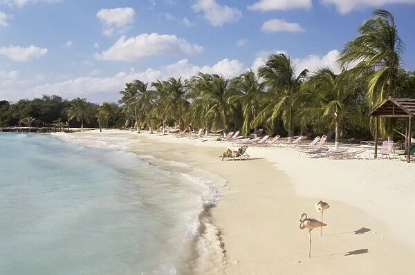 Sonesta Island, Aruba, West Indies, Dutch Caribbean, Central America