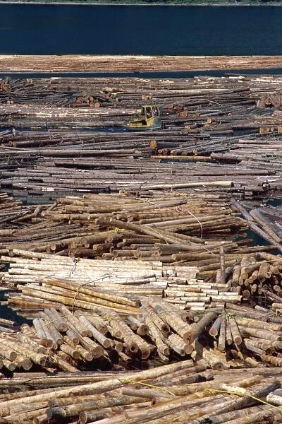 Sorting logs for mill, British Columbia, Canada, North America