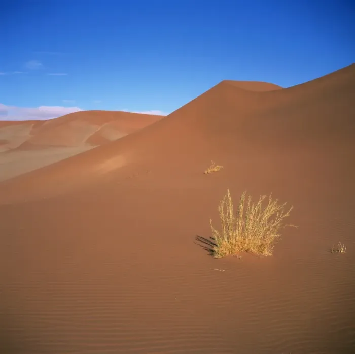 Framed Print : Sossusvlei Sand Dunes in Naukluft Park