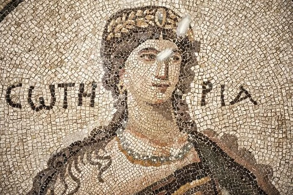Soteria Roman mosaic, 5th cent AD, Hatay Archaeology Museum, Antioch, Hatay province, Southwest Turkey, Anatolia, Turkey, Asia Minor, Eurasia