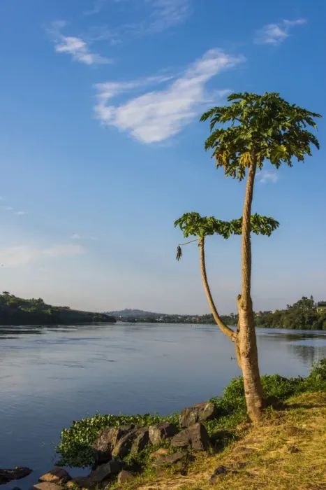 Framed Print : Source of the Nile in Jinja, Uganda, East Africa, Africa Framed Print : Source of the Nile in Jinja, Uganda, East Africa, Africa