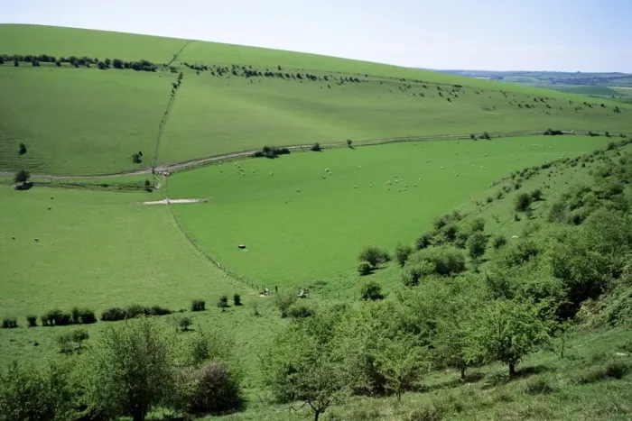 Framed Print : The South Downs between Lewes and Glynde, East Sussex, England, United Kingdom, Europe Framed Print : The South Downs between Lewes and Glynde, East Sussex, England, United Kingdom, Europe