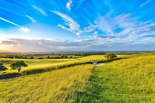 The South Downs National Park on a summer evening, near Wilmington, East Sussex, England, United Kingdom, Europe