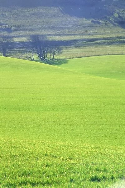 The South Downs near Wilmington, East Sussex, England, UK, Europe