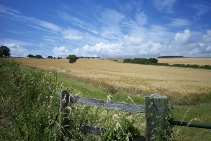 Framed Print : The South Downs Way, Hampshire, England, United Kingdom, Europe Framed Print : The South Downs Way, Hampshire, England, United Kingdom, Europe