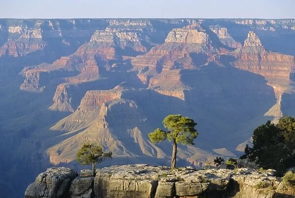 The south rim of the Grand Canyon