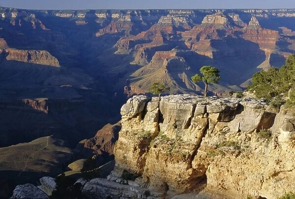 The south rim of the Grand Canyon