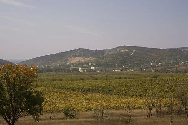 South Valley, Balaclava, site of 1854 battle, now vineyards, Crimea, Ukraine, Europe