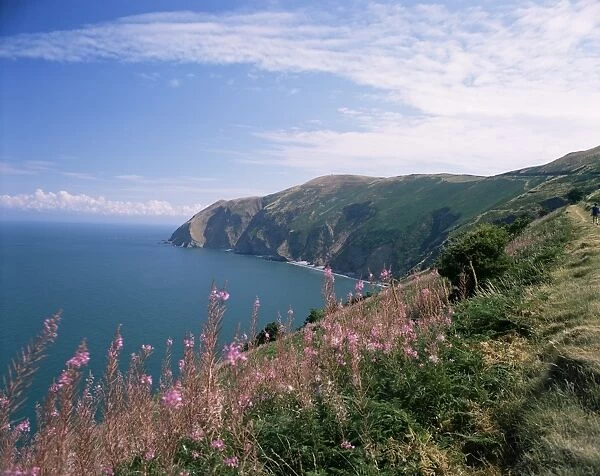 South west peninsula coast path, Devon, England, United Kingdom, Europe