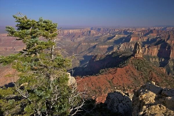 Southeast view, North Rim, Grand Canyon National Park, UNESCO World Heritage Site, Arizona, United States of America, North America