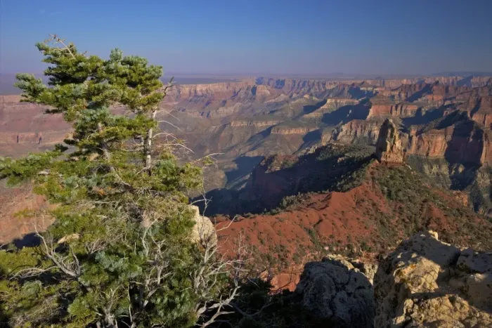 Framed Print : Southeast view, North Rim, Grand Canyon National Park, UNESCO World Heritage Site, Arizona, United States of America, North America Framed Print : Southeast view, North Rim, Grand Canyon National Park, UNESCO World Heritage Site, Arizona, United States of America, North America
