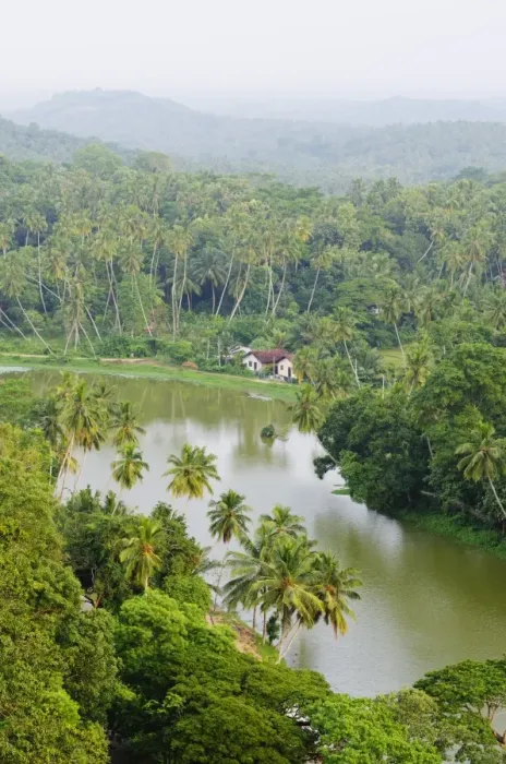 Framed Print : Southern Province, Sri Lanka, Asia Framed Print : Southern Province, Sri Lanka, Asia