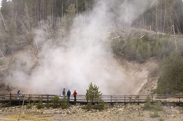 SP022067. Mud Volcano Area, Yellowstone National Park