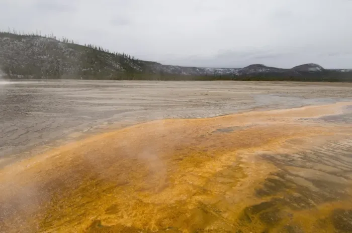 Framed Print : SP022247. Grand Prismatic Spring in winter, Lower Geyser Basin Framed Print : SP022247. Grand Prismatic Spring in winter, Lower Geyser Basin