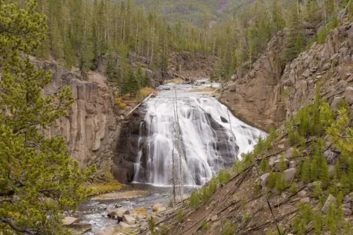 Framed Print : SP022272. Gibbon Falls, Yellowstone National Park Framed Print : SP022272. Gibbon Falls, Yellowstone National Park