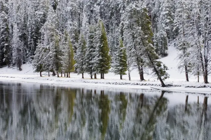 Framed Print : SP022315. Yellowstone River in winter, Yellowstone National Park Framed Print : SP022315. Yellowstone River in winter, Yellowstone National Park