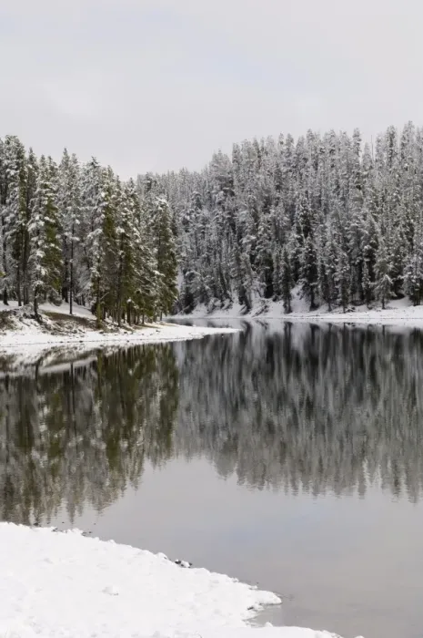 Framed Print : SP022320. Yellowstone River in winter, Yellowstone National Park Framed Print : SP022320. Yellowstone River in winter, Yellowstone National Park