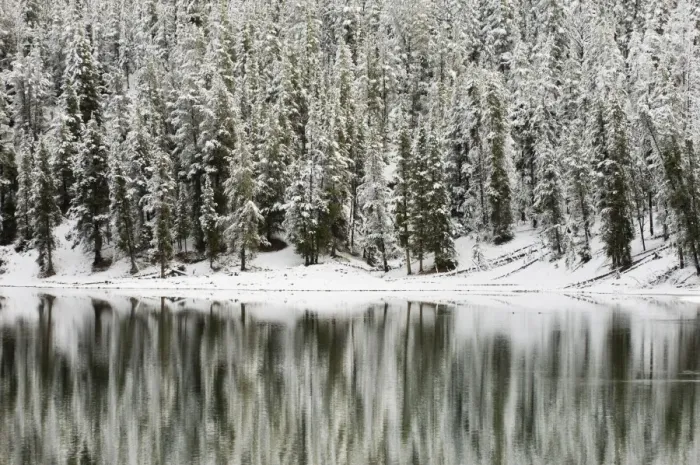 Framed Print : SP022321. Yellowstone River in winter, Yellowstone National Park Framed Print : SP022321. Yellowstone River in winter, Yellowstone National Park